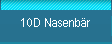 10D Nasenbär