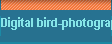 Digital bird-photography