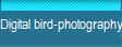 Digital bird-photography