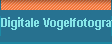 Digitale Vogelfotografie