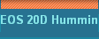 EOS 20D Hummingbird