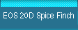 EOS 20D Spice Finch