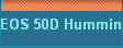 EOS 50D Hummingbird 