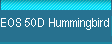 EOS 50D Hummingbird 