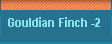 Gouldian Finch -2 